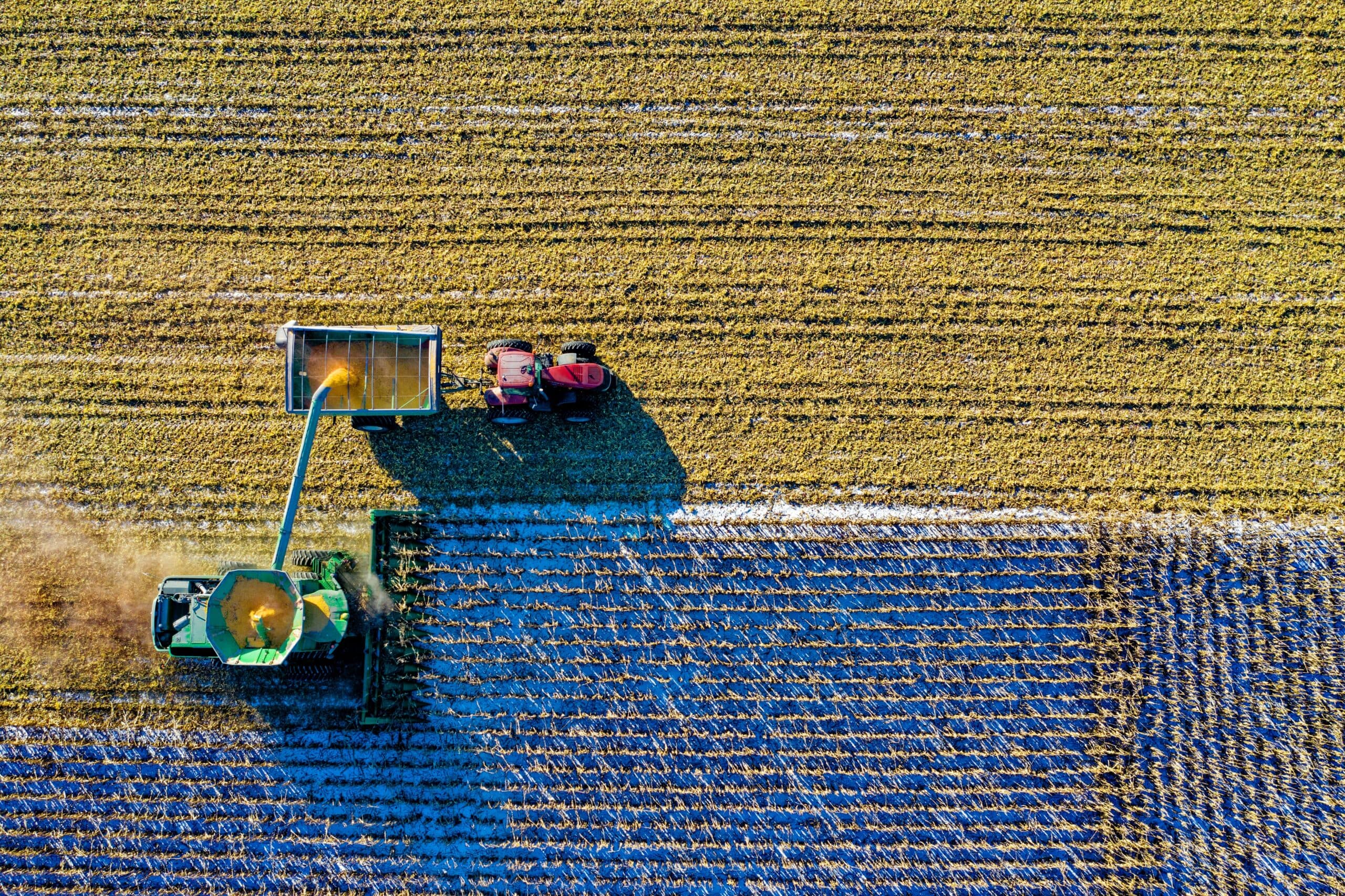 Produção agrícola