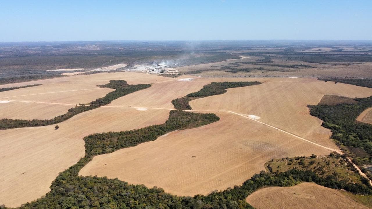Agropecuária