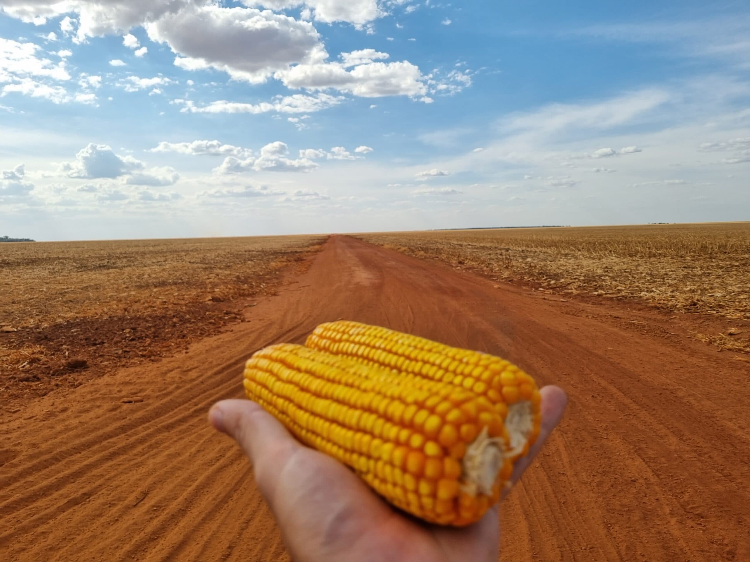 Produção agrícola
